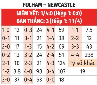 Fulham vs Newcastle