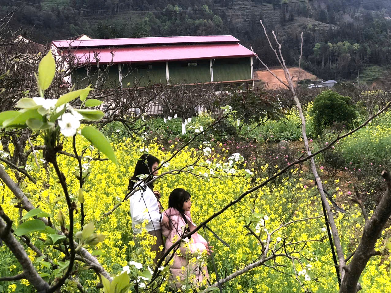 Chú thích ảnh