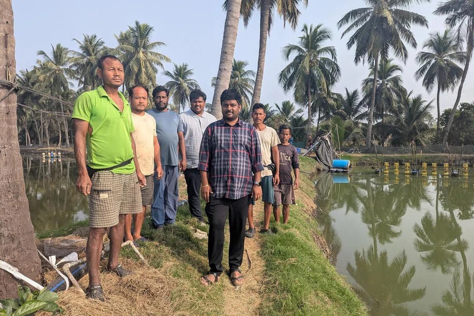 Người nuôi tôm tại Andhra Pradesh cho rằng tiềm năng mở rộng sang thị trường mới vẫn còn nhiều hạn chế.