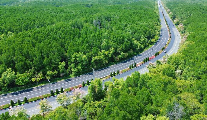 TP.HCM chuẩn bị “mở toang cửa biển”: Siêu trục Rừng Sác - cầu Cần Giờ - đường vượt biển lộ diện 1