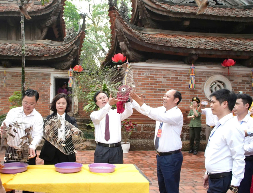 Đánh thức 